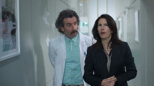 Like a Guinea Pig on a Hot Tin Roof