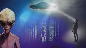 Immersion Pod Technology