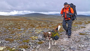 Dovrefjell-Sunndalsfjella – The Test of Manhood