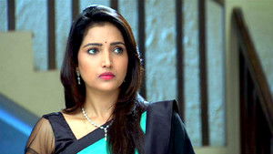 Sunshine Colony Celebrates Ganesha Chaturthi