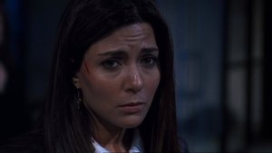 Day 6: 3:00 A.M.-4:00 A.M.