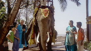 Jayshree And Her Elephant