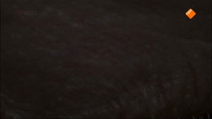 Waakzaam, dienstbaar en getraumatiseerd