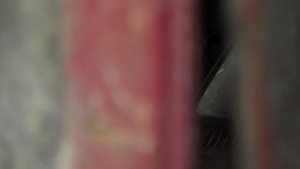 Jowett Javelin & Escort Barn Find