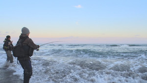 Big Fish, Big Dreams