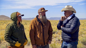 Where the Wild Wind Blows