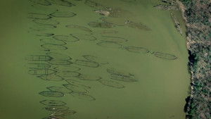 Ghost Fleet of Cannibal Bay