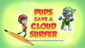 Pups Save a Cloud Surfer