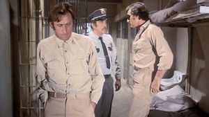 The Concrete Jungle Caper