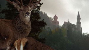 Neuschwanstein: The False Paradise