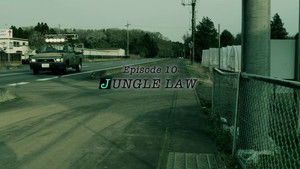 JUNGLE LAW