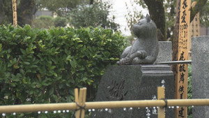 At the Pet Cemetery Where Animals Rest in Peace