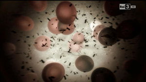 Nemici invisibili (seconda versione)