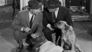 The Case of the Sun Bather's Diary