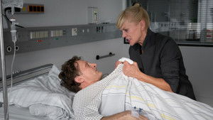 A Little Bit of Freedom