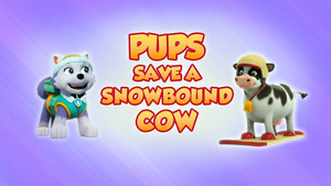 Pups Save a Snowbound Cow