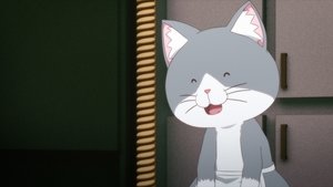 12th Serving:  "Choose Your Team" "As Always, Thanks for Coming!" "Congratulations"