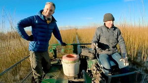 Somerset Willow Harvest