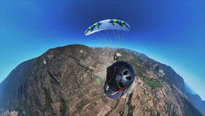 Leopard on the Loose, Plummeting to Earth, Elephant Attack & Balloon Chaos