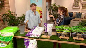 Monday, September 29, 2025