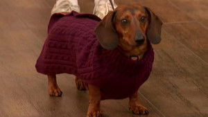 Thursday, October 9, 2025