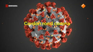 Cordon Corona