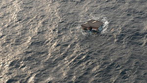 Surviving the Tsunami