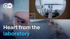 A revolution in transplant medicine