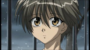 The Hope for Freedom and Release...