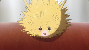 THE ANIME STUDIO: CloverWorks