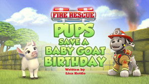 Fire Rescue: Pups Save a Baby Goat Birthday