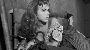 Incident of the Tumbleweed