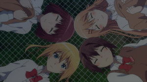 Exploring the Island