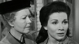 The Case of the Barefaced Witness