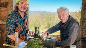 A Rock Partridge in Spain