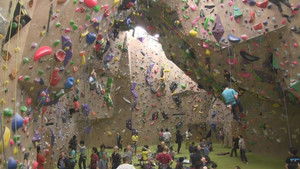 Climbing the Walls of Life