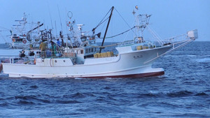No Going Back: New Ideas from a Tsunami-hit Fishing Town