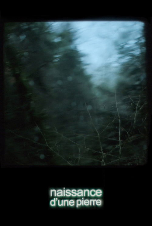 Once There Was a Storm