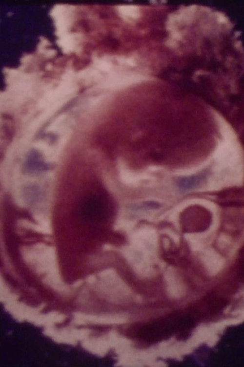 Le ventre, un supermonde