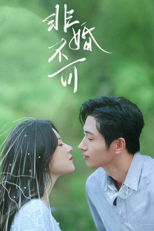 Perfect Secretary's Love