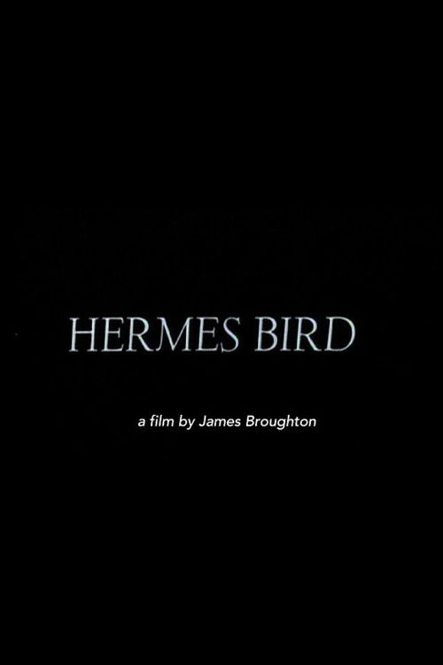 Hermes Bird