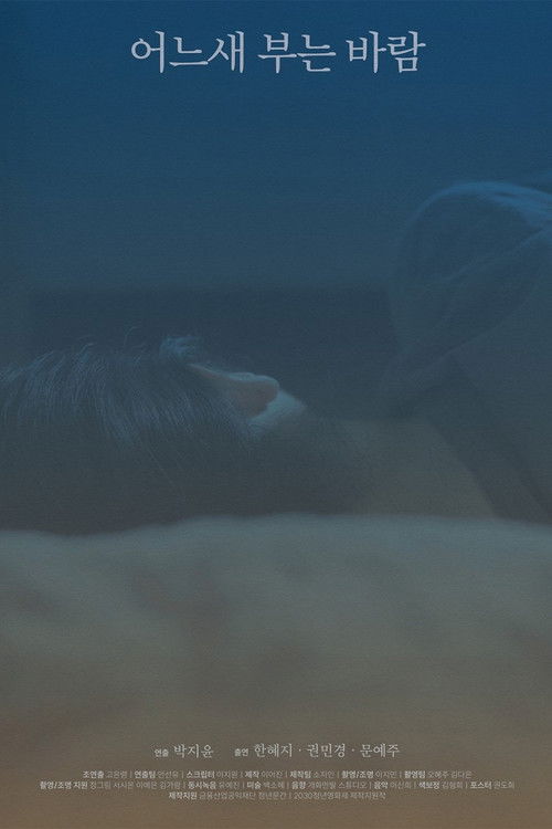 The Consolation of the Wind