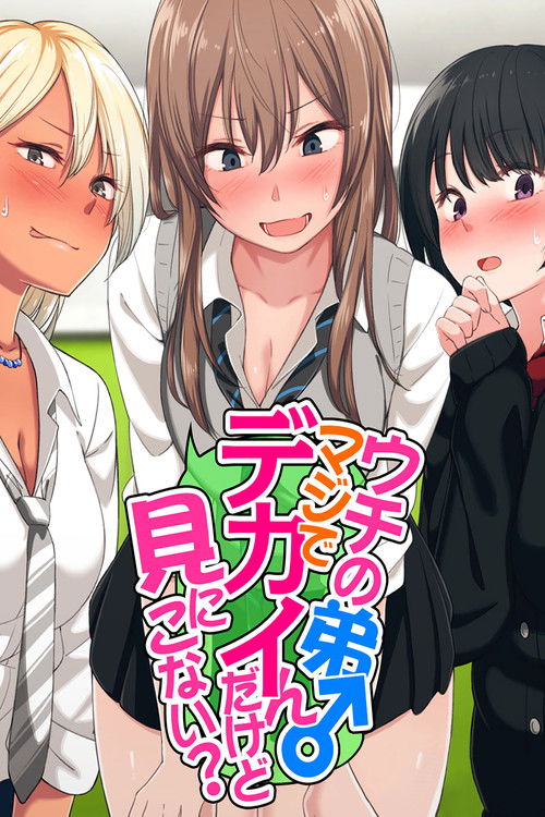 Uchi no Otouto Maji de Dekain Dakedo Mi ni Konai?