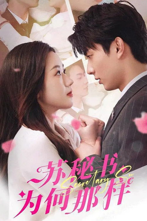 苏秘书为何那样