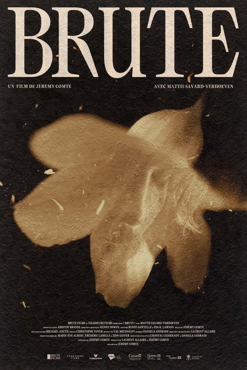 Brute