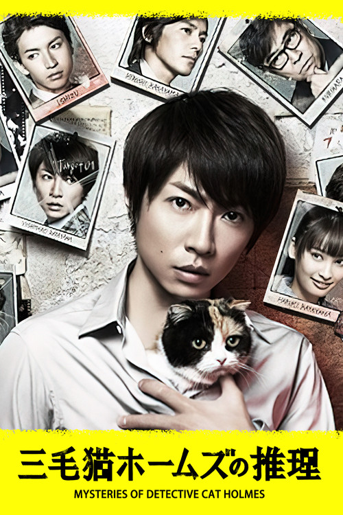 Mysteries of Detective Cat HOLMES