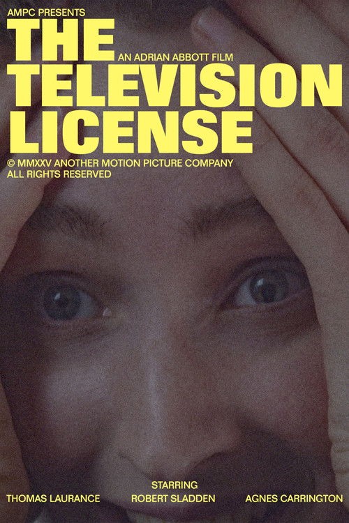 The Television License