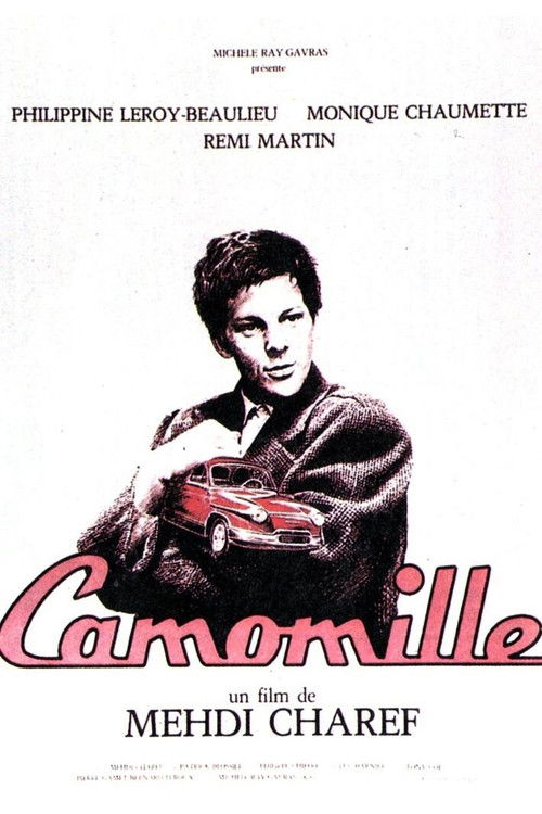 Camomille