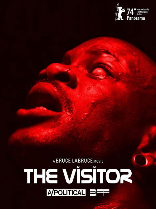 The Visitor