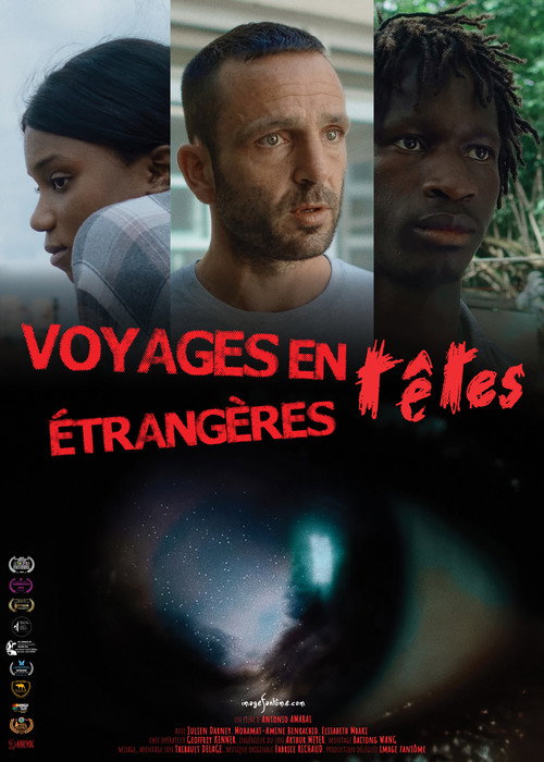 Travels Inside Foreign Heads